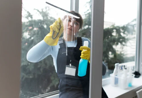 Nettoyage de vitres intérieures et extérieures à Lay